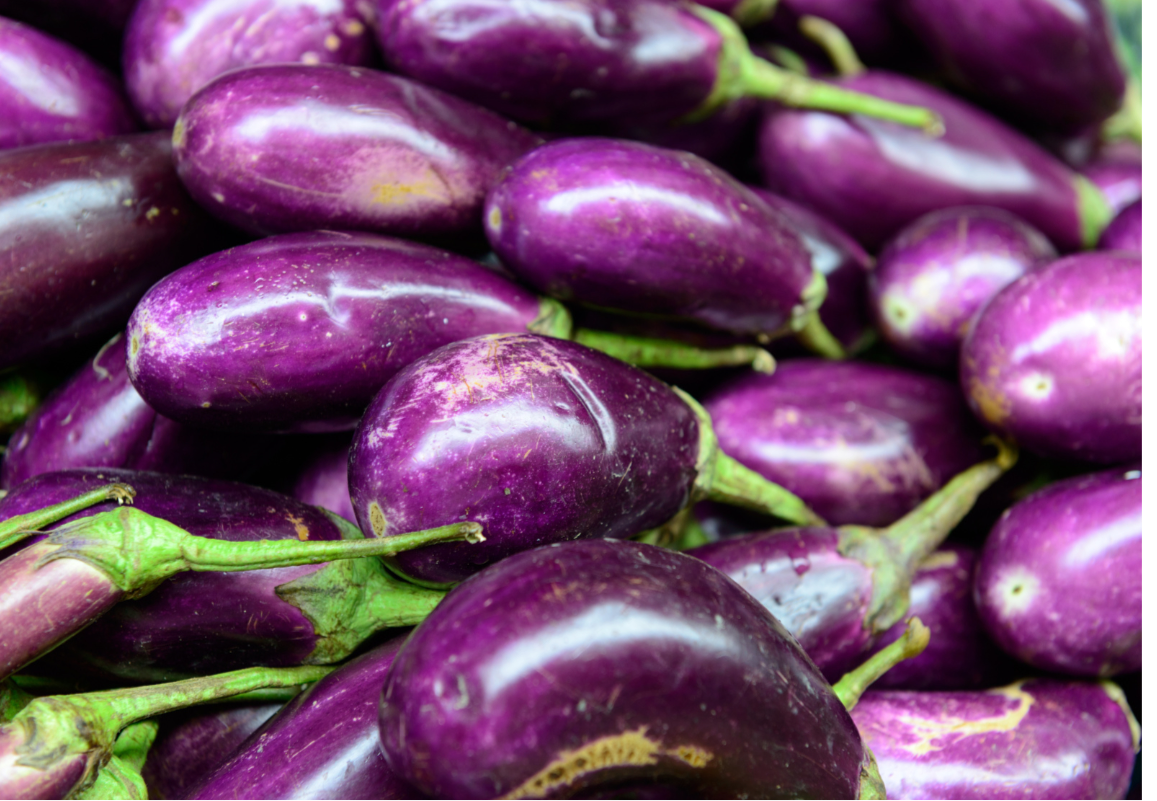 Brinjal Mini
