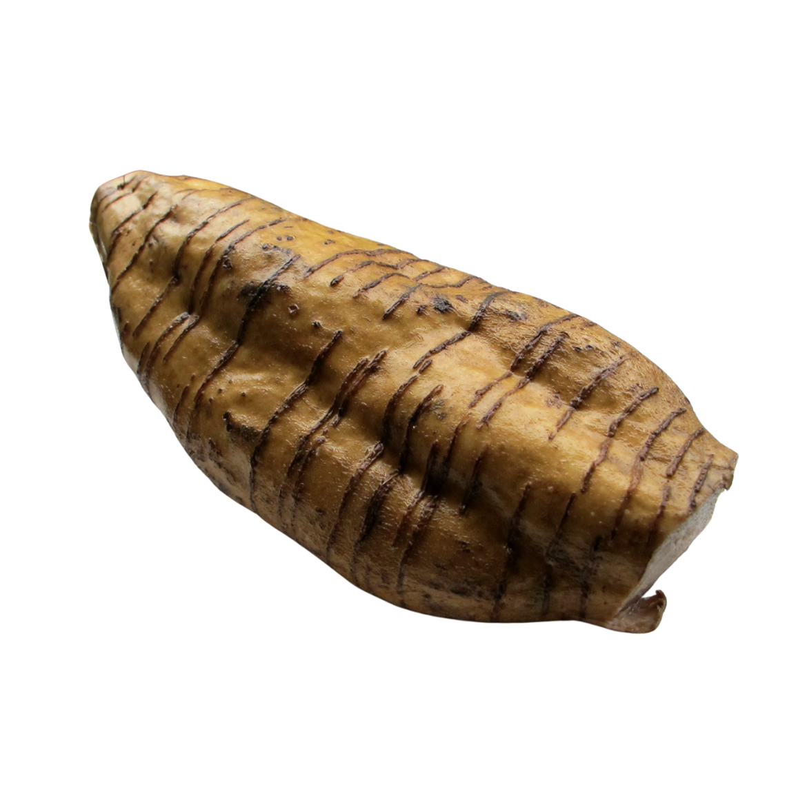 Arrowroot