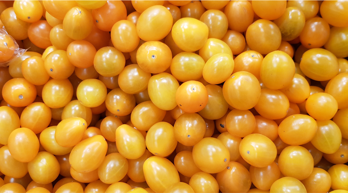 Snacking Tomato Cherry Yellow