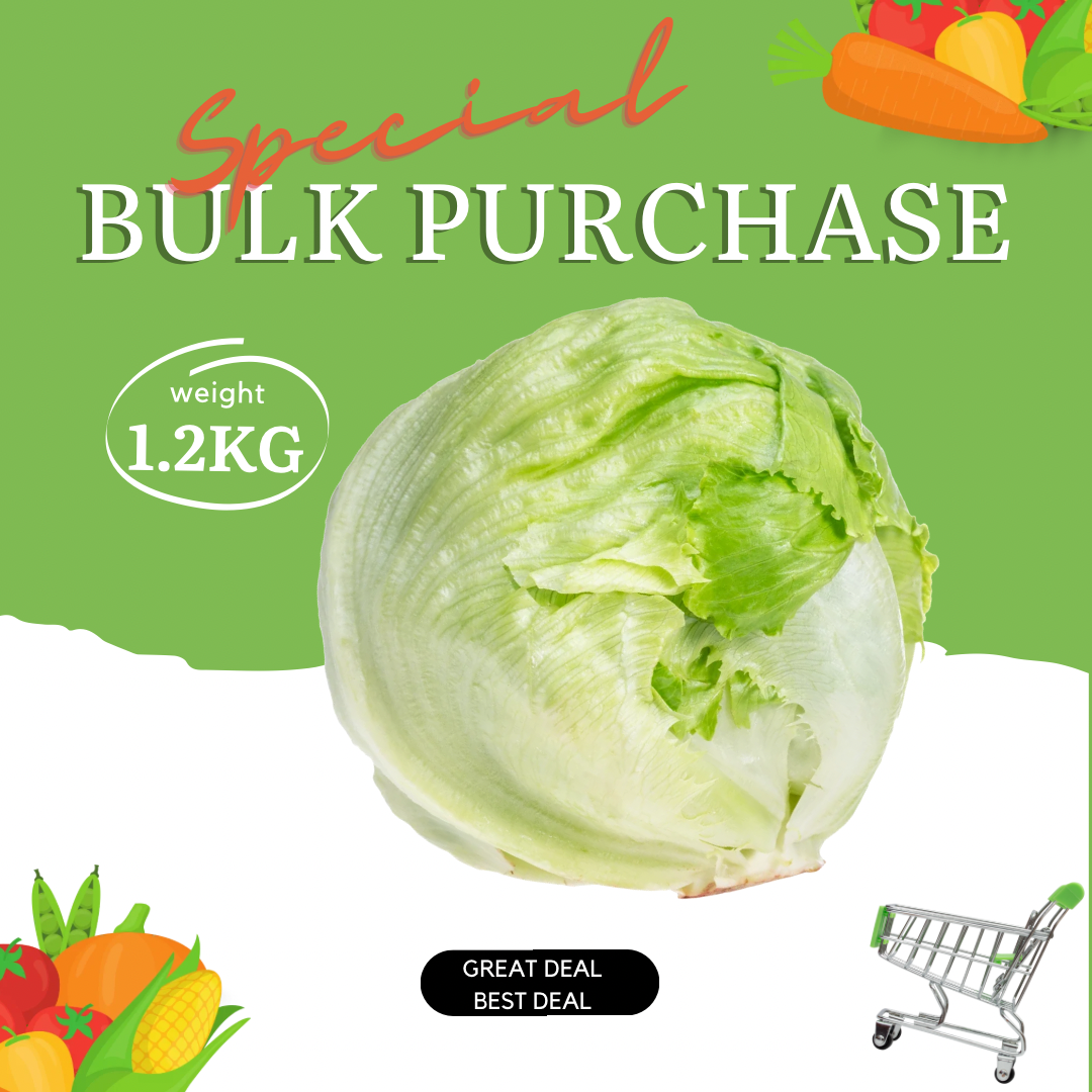 Iceberg Lettuce Bulk Special