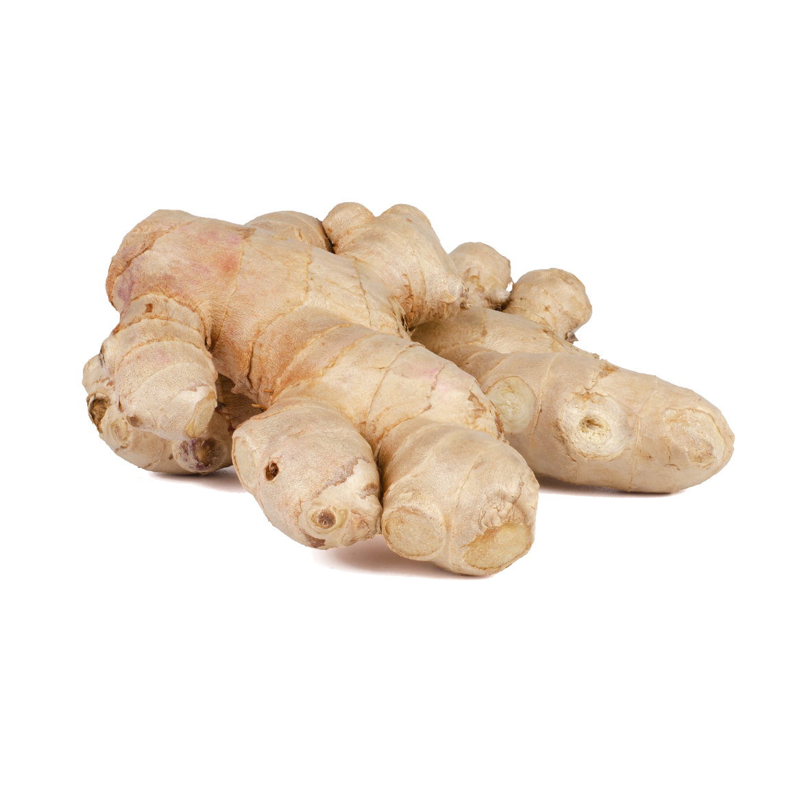 Ginger Bentong