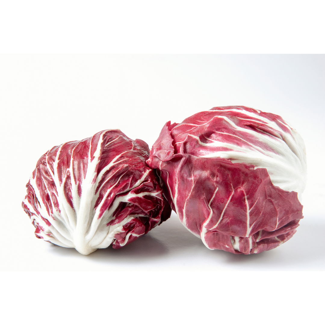 Red Chicory