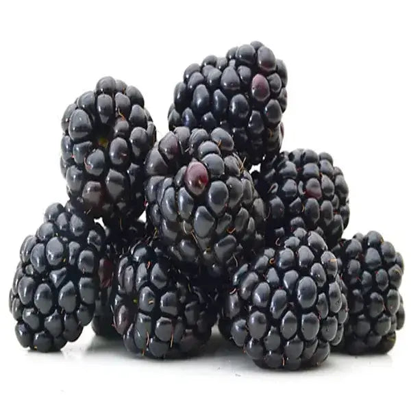 Blackberry