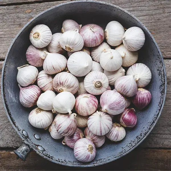 Fragrant Garlic