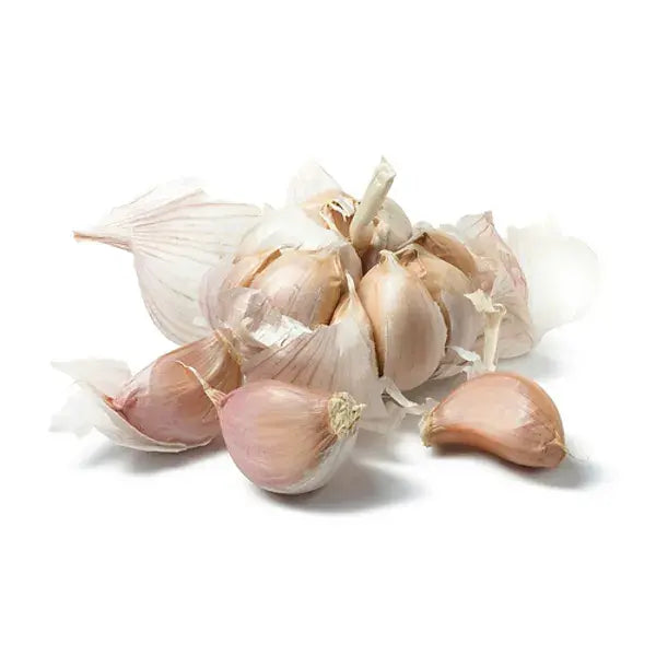 Garlic Old