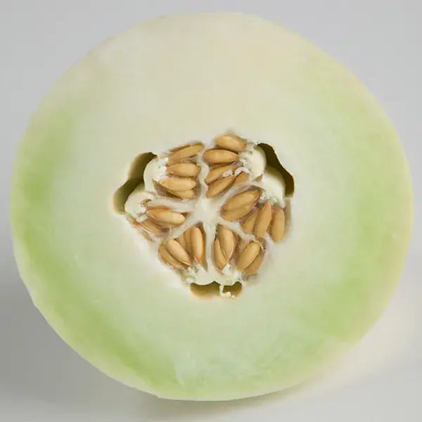 Honeydew Malaysia