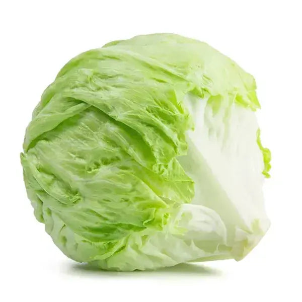 Lettuce Iceberg