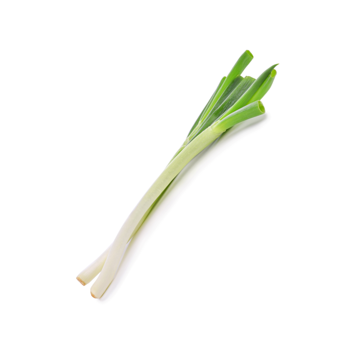 China Scallion