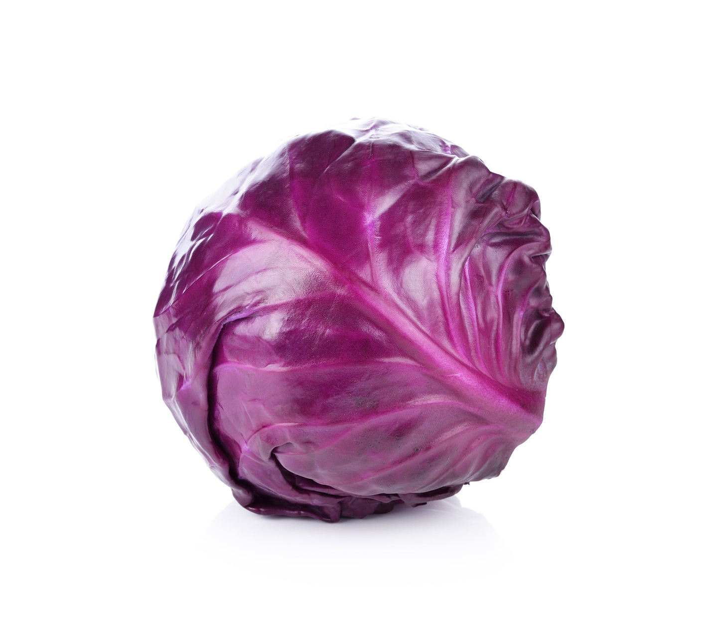 Cabbage Red Australia
