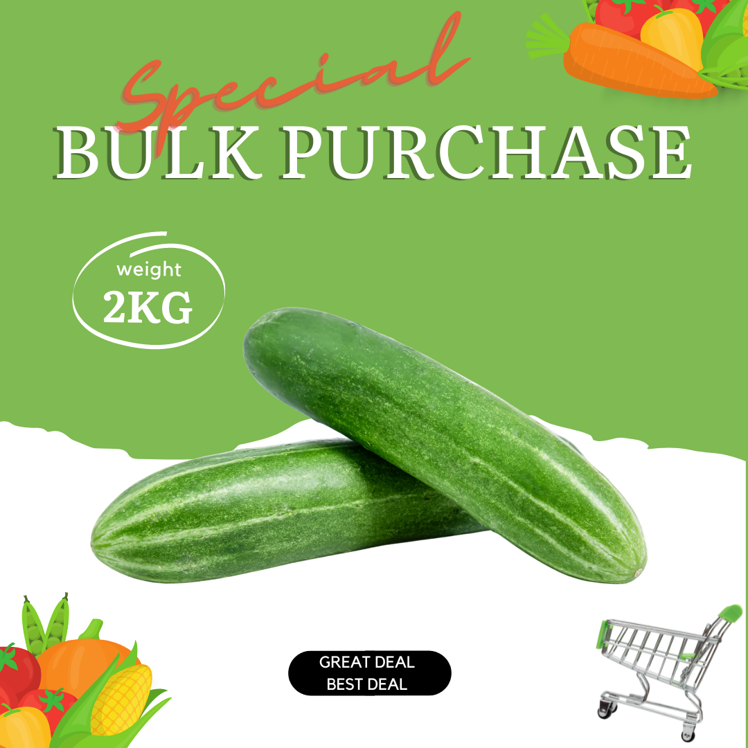 Cucumber Local Bulk Special