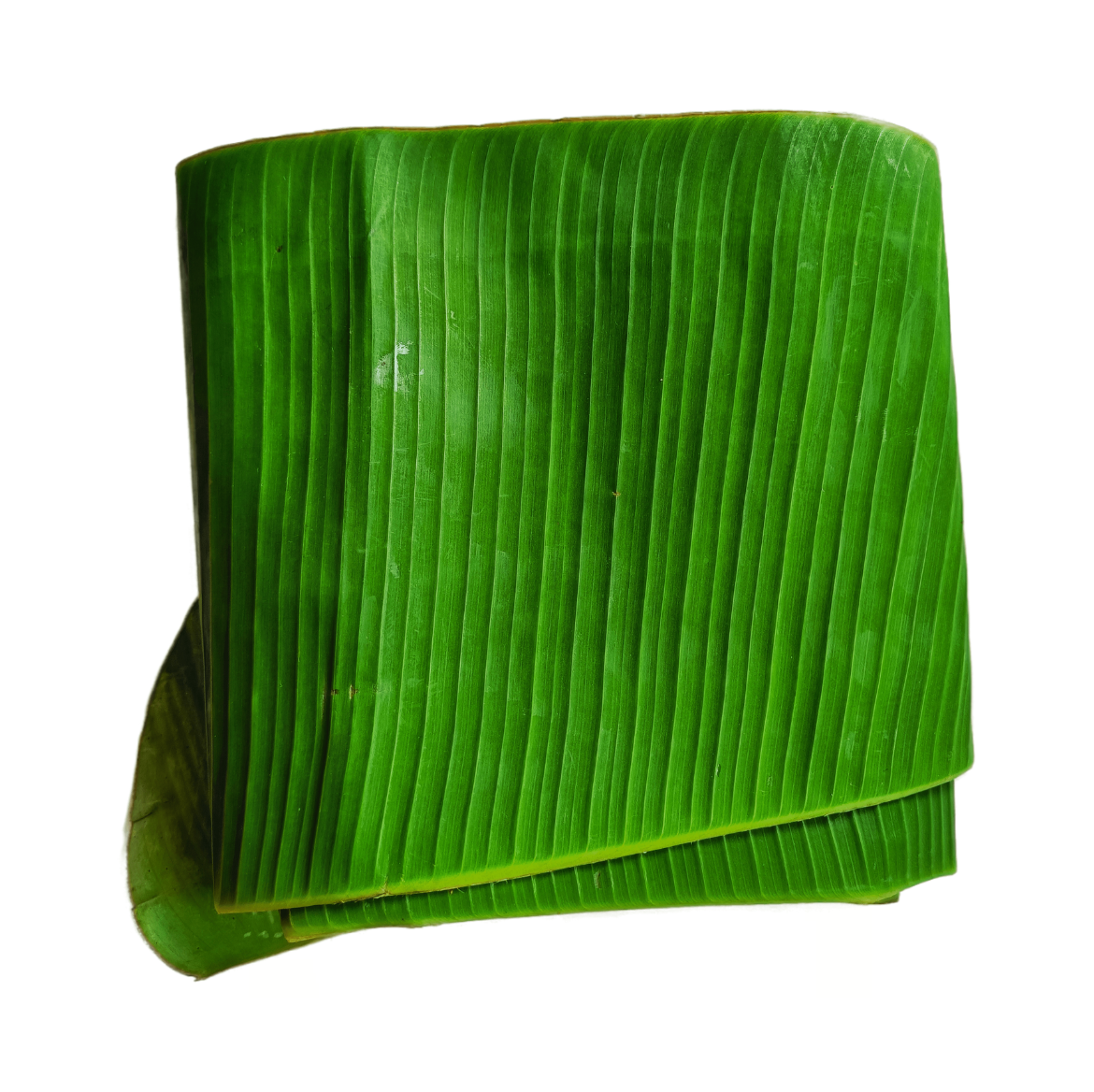 Banana Leaf