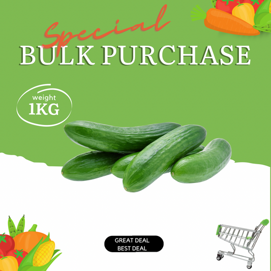 Cucumber Japanese Bulk Special