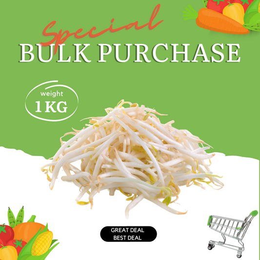 Bean Sprouts Bulk Special