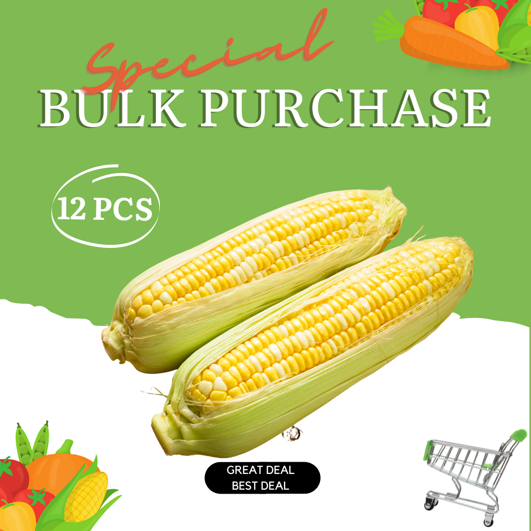 Corn Sweet Bicolour Bulk Special