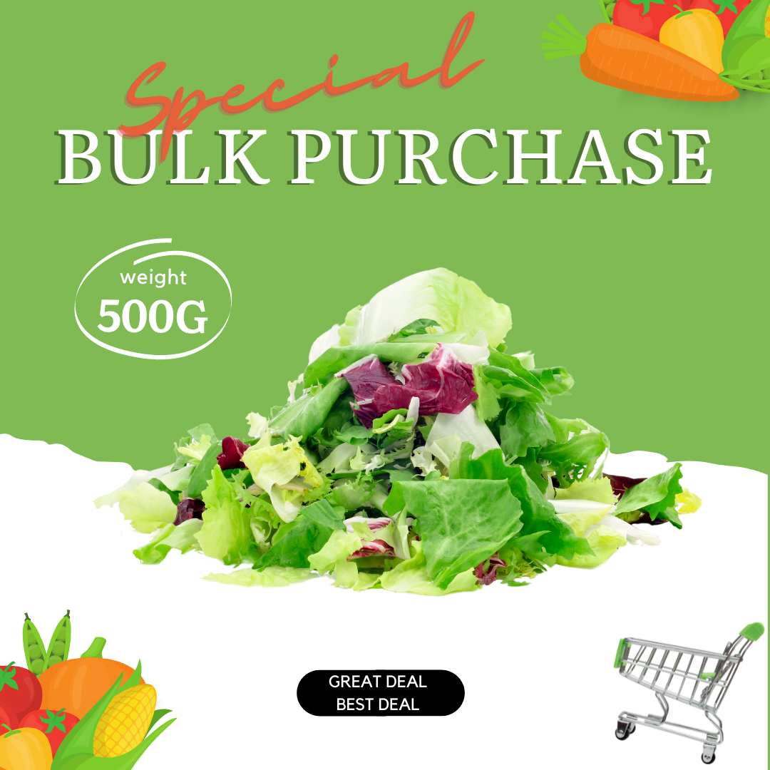 Mesclun Mix Malaysia Special