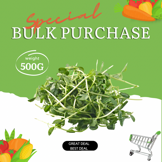 Pea Sprouts Bulk Special