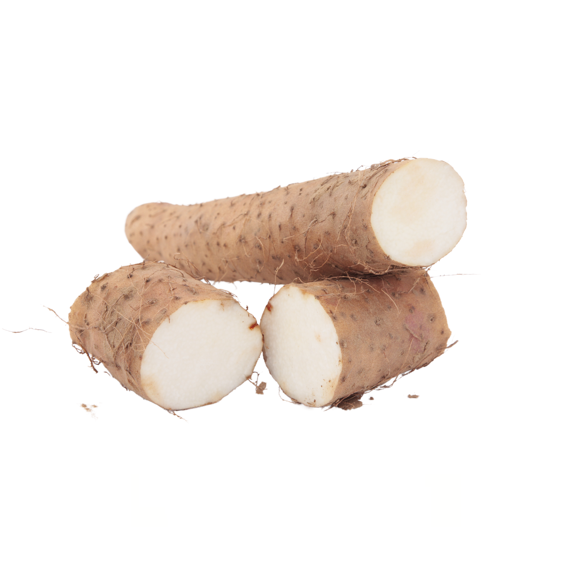 Huai San China(Chinese Yam)