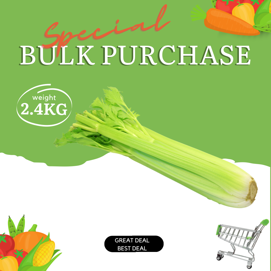 Celery China Bulk Special