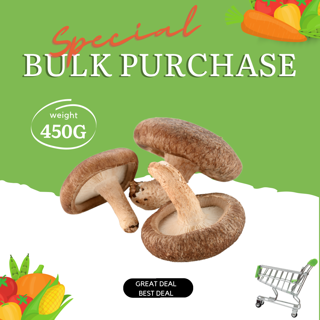 Mushroom Shiitake Bulk Special