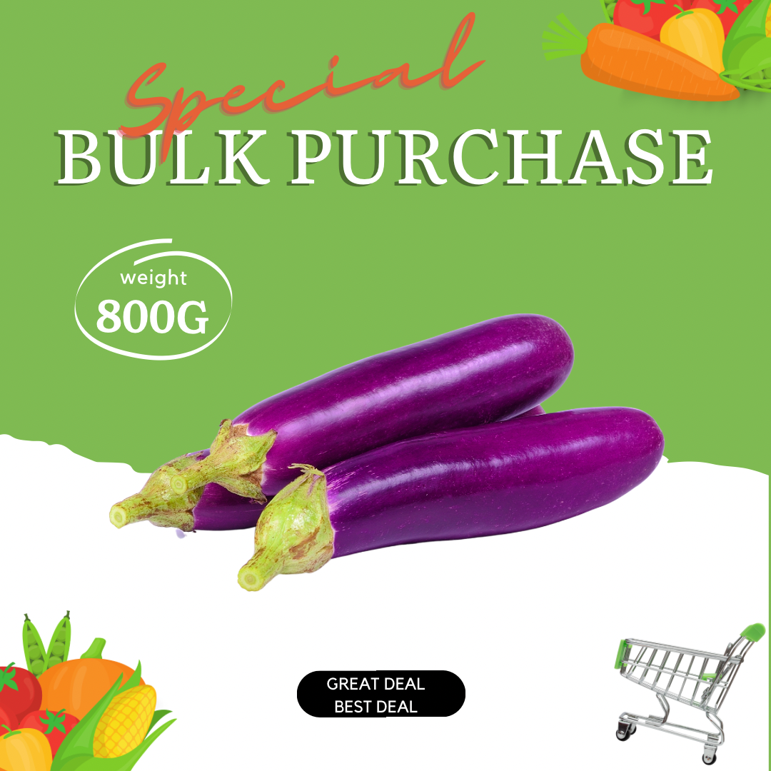 Brinjal Bulk Special