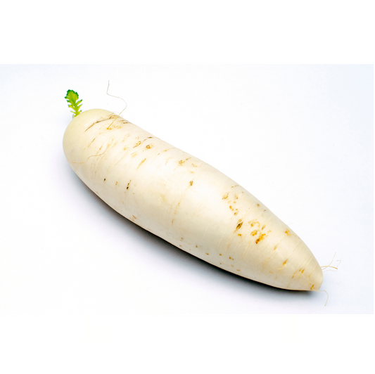 Radish White