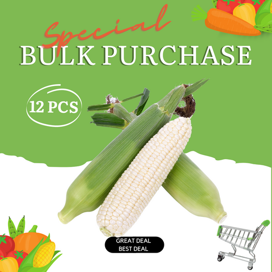 Corn White Bulk Special