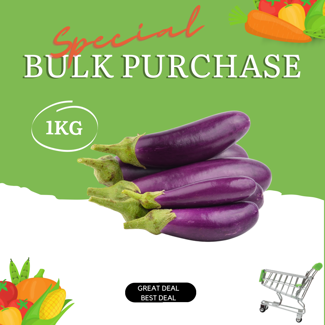 Brinjal Bulk Special