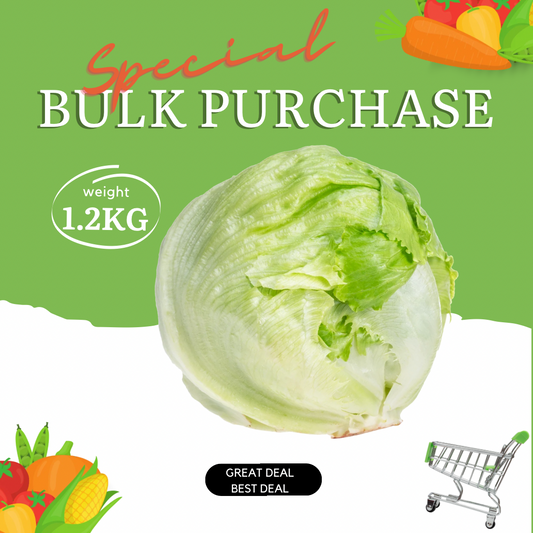 Iceberg Lettuce Bulk Special
