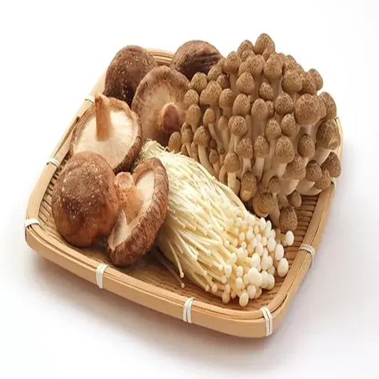 Mushroom Assorted Bundle