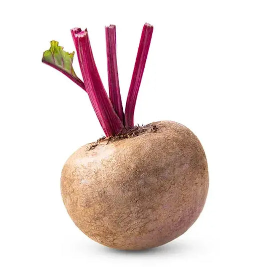 Beetroot