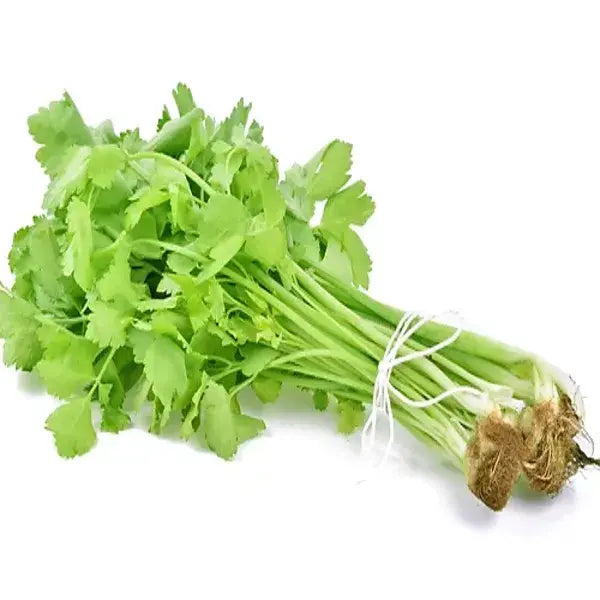 Celery Chinese