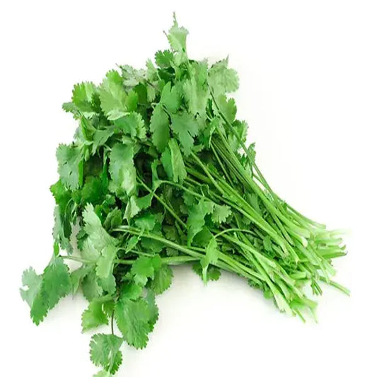 Chinese Coriander