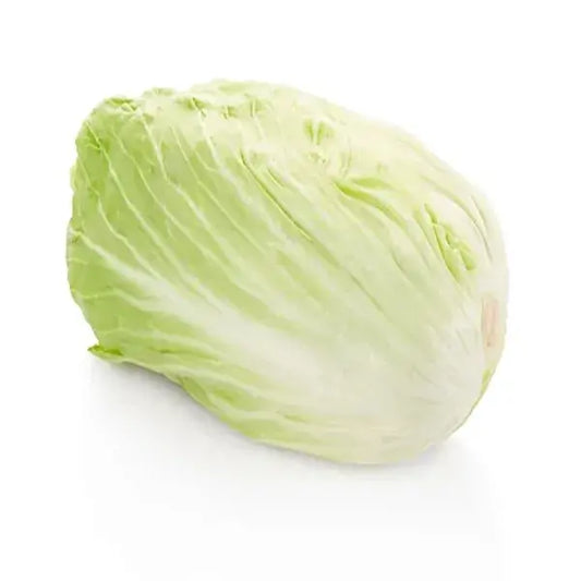 Cabbage Long China