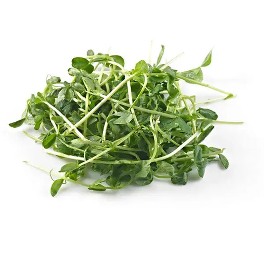 Pea Sprouts(Tou Miao)