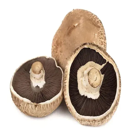 Mushroom Portobello