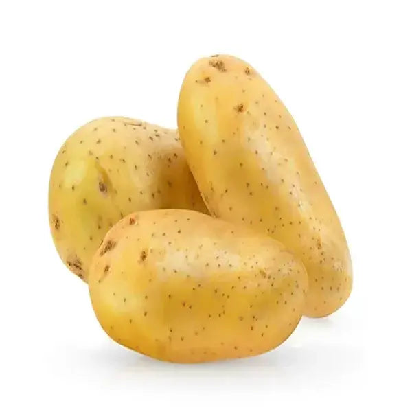 Potato