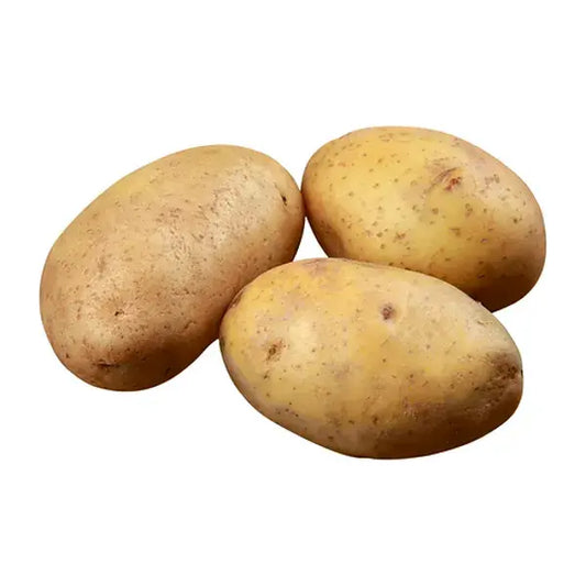 Potato Indonesia