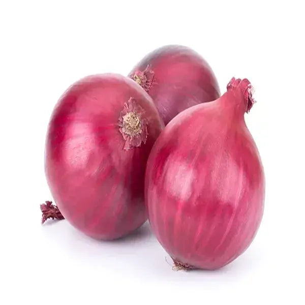 Onion Red