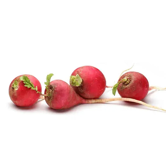 Red Radish