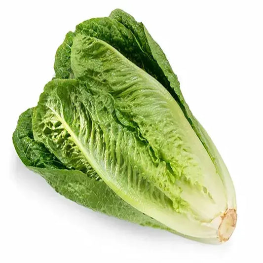 Lettuce Romaine