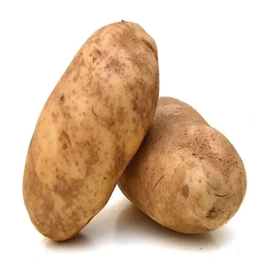 Potato Russet