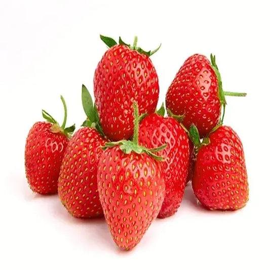 Strawberry USA/Spain