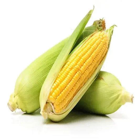 Corn Sweet