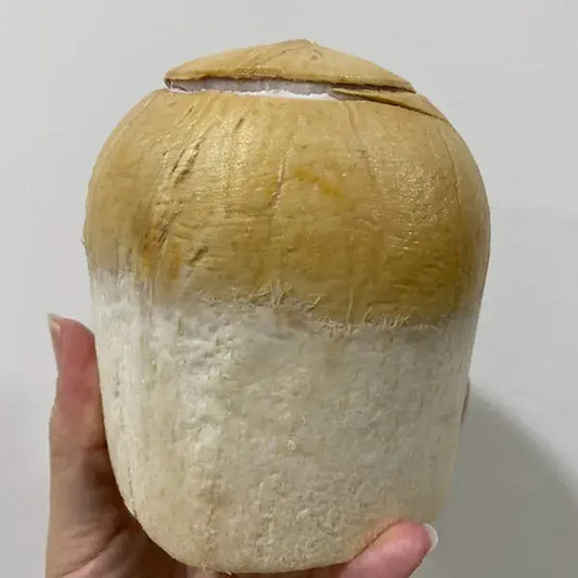 Coconut Precut