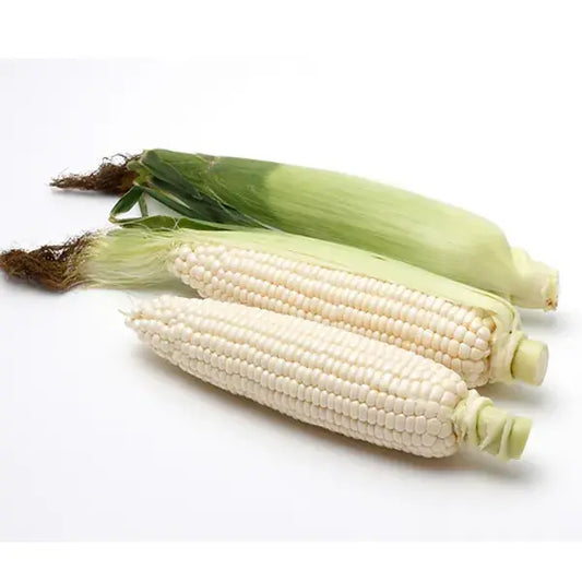 Corn White