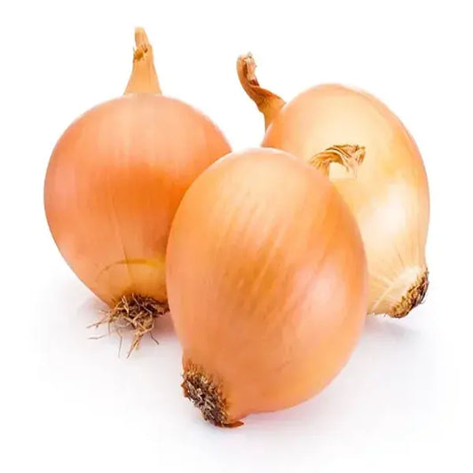 Onion Yellow