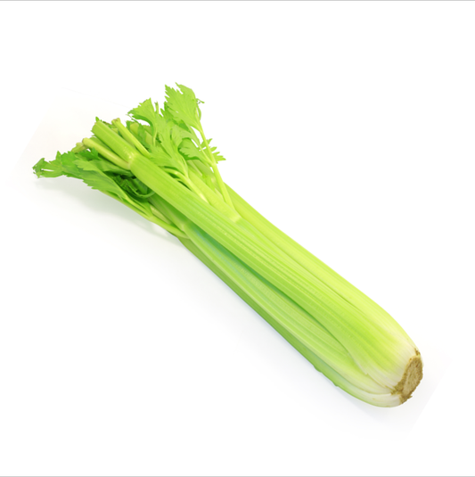 Celery China